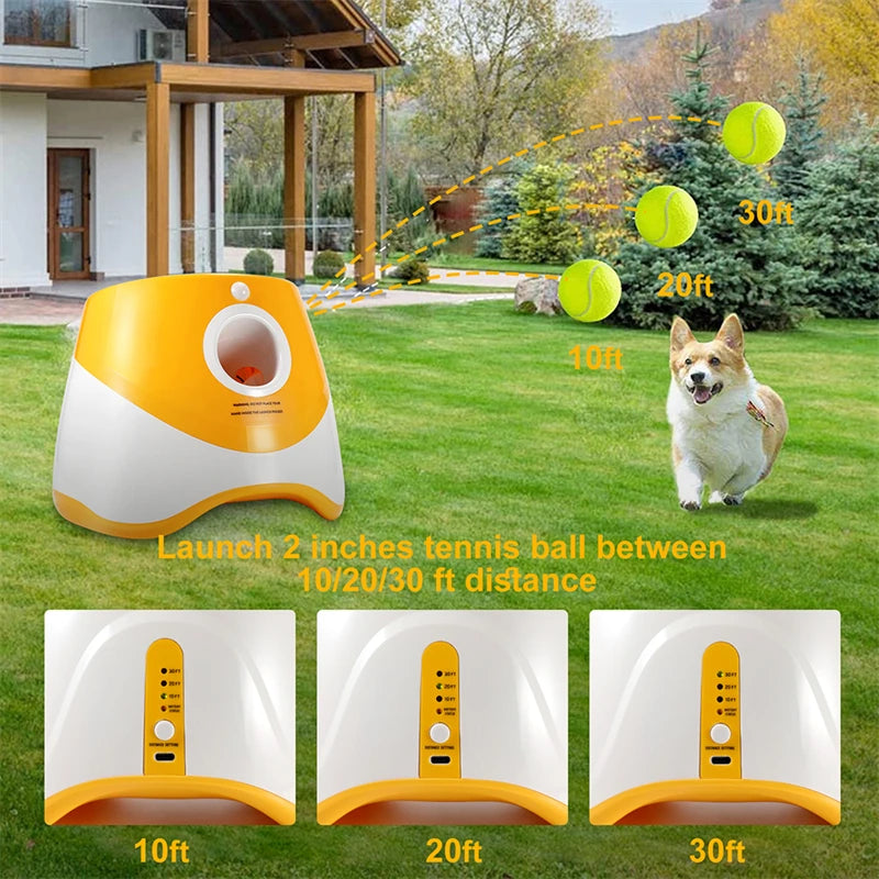 TheHappyPaws™ Mini Tennis Throwing Pinball Machine