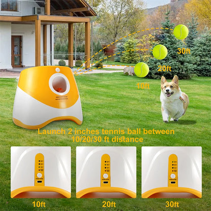 TheHappyPaws™ Mini Tennis Throwing Pinball Machine