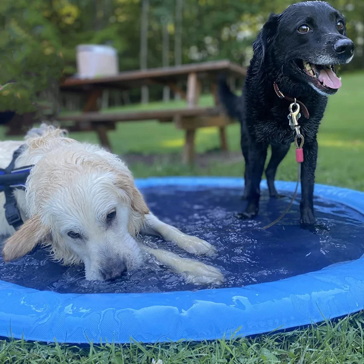 TheHappyPaws™ Summer Pet Swimming Pool